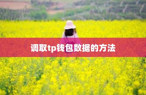 调取tp钱包数据的方法
