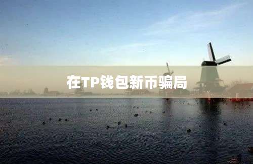 在TP钱包新币骗局