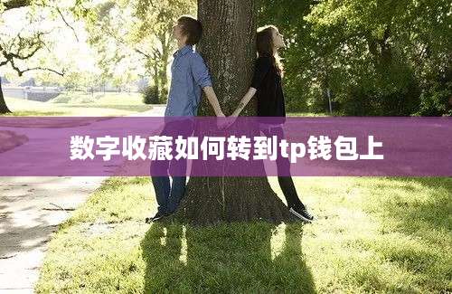 数字收藏如何转到tp钱包上
