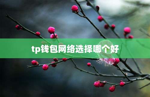 tp钱包网络选择哪个好