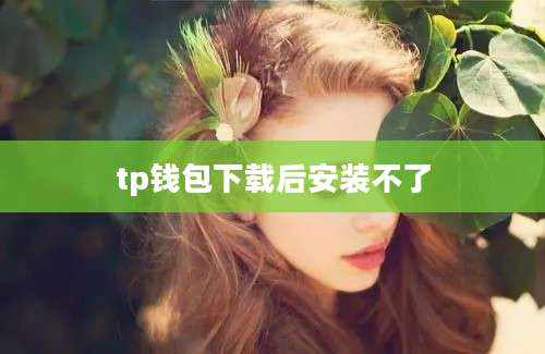 tp钱包下载后安装不了