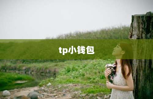 tp小钱包