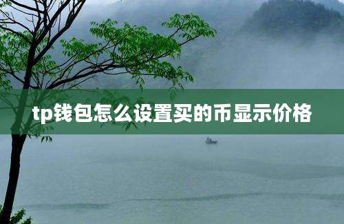 tp钱包怎么设置买的币显示价格
