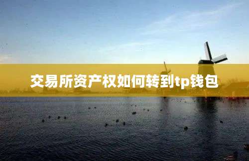 交易所资产权如何转到tp钱包