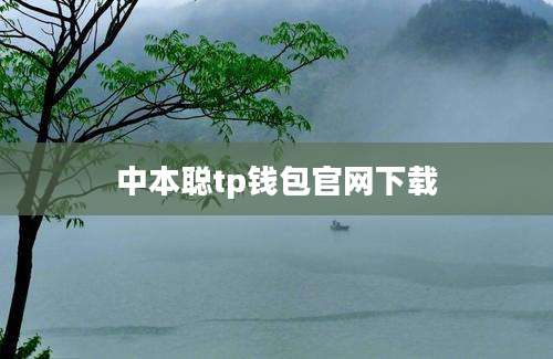 中本聪tp钱包官网下载