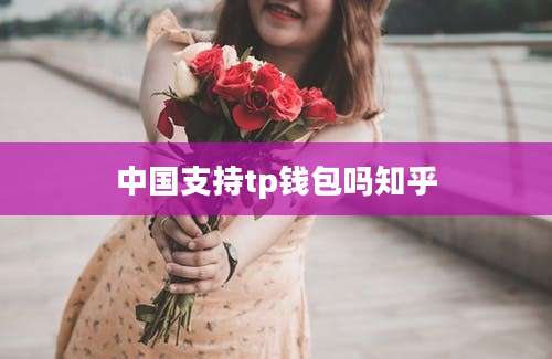 中国支持tp钱包吗知乎