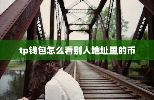 tp钱包怎么看别人地址里的币
