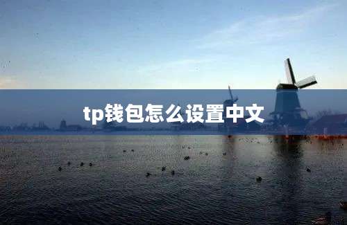 tp钱包怎么设置中文