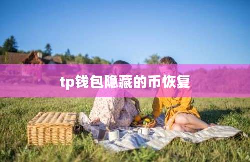 tp钱包隐藏的币恢复