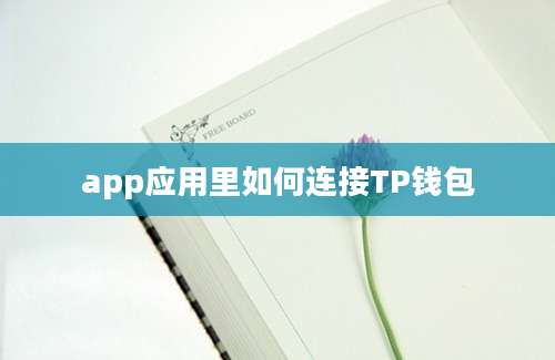 app应用里如何连接TP钱包