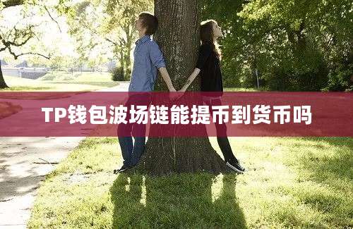 TP钱包波场链能提币到货币吗