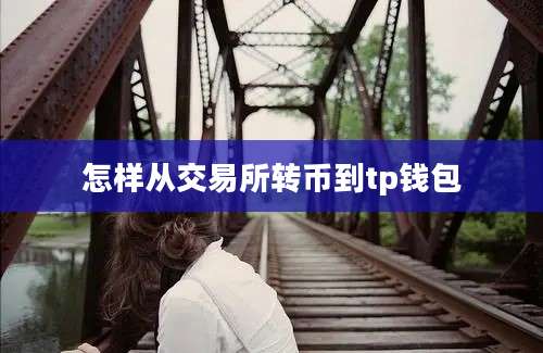 怎样从交易所转币到tp钱包