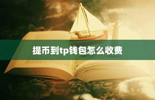 提币到tp钱包怎么收费