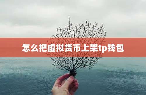 怎么把虚拟货币上架tp钱包