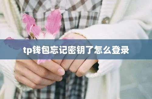 tp钱包忘记密钥了怎么登录