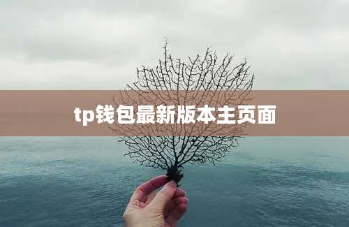 tp钱包最新版本主页面