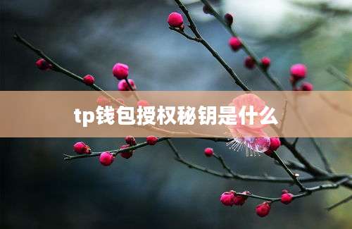 tp钱包授权秘钥是什么