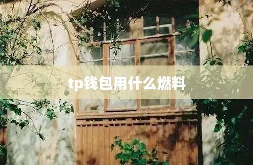 tp钱包用什么燃料