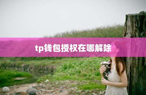 tp钱包授权在哪解除