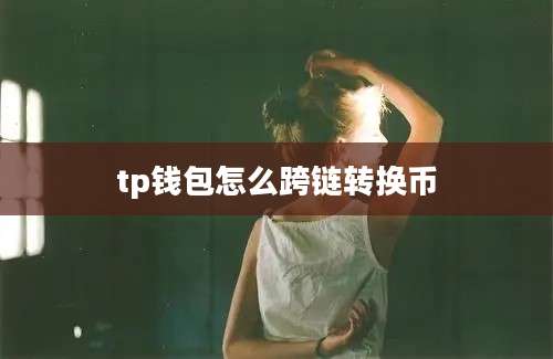 tp钱包怎么跨链转换币