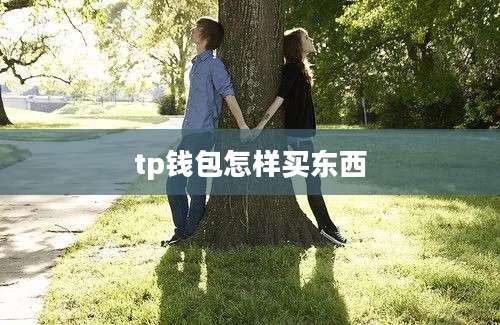 tp钱包怎样买东西