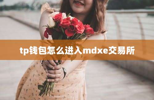 tp钱包怎么进入mdxe交易所