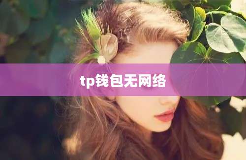 tp钱包无网络