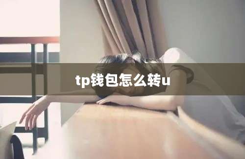tp钱包怎么转u