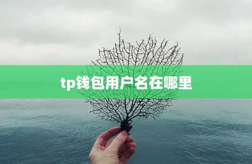 tp钱包用户名在哪里