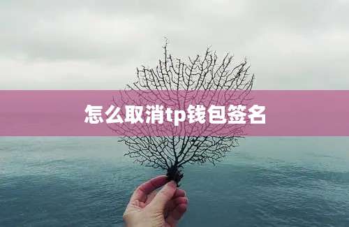 怎么取消tp钱包签名