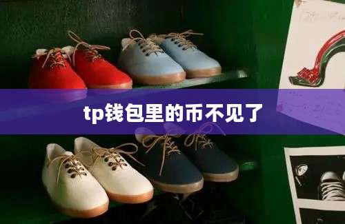 tp钱包里的币不见了