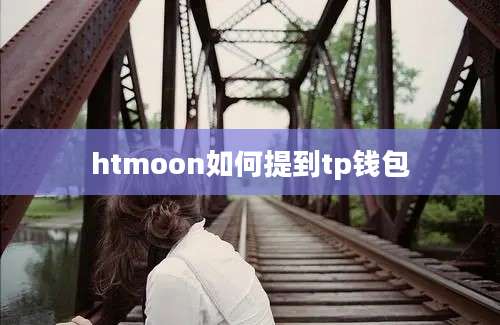 htmoon如何提到tp钱包