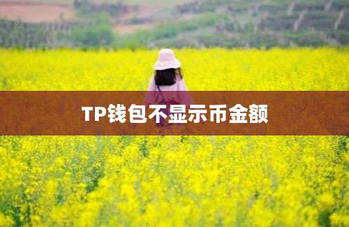 TP钱包不显示币金额