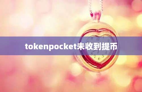 tokenpocket未收到提币