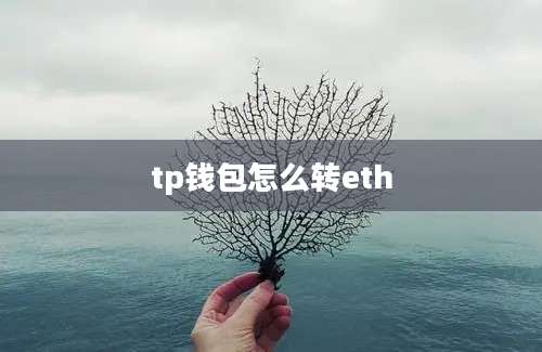tp钱包怎么转eth