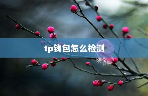 tp钱包怎么检测