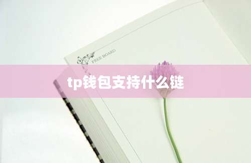 tp钱包支持什么链