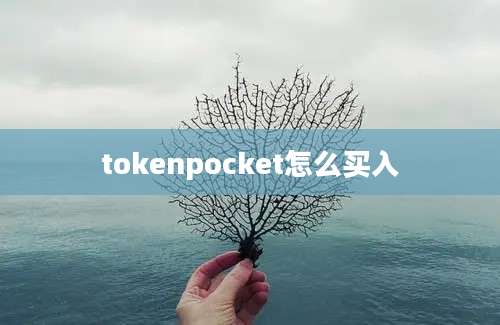 tokenpocket怎么买入