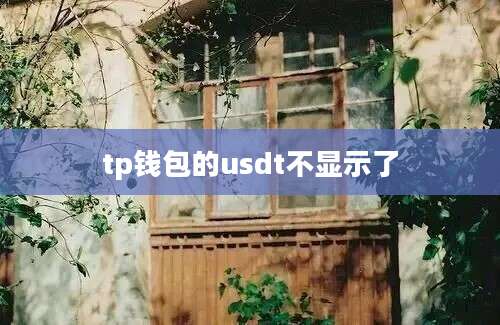 tp钱包的usdt不显示了