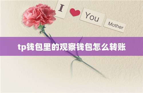 tp钱包里的观察钱包怎么转账