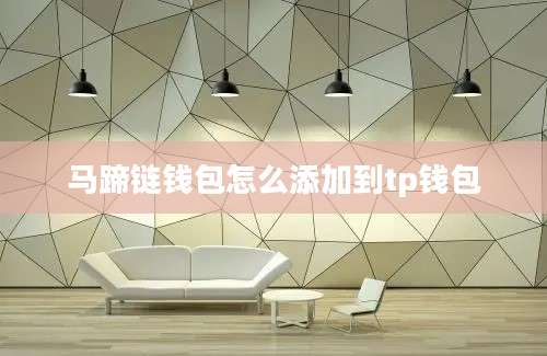 马蹄链钱包怎么添加到tp钱包