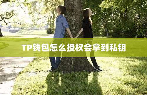TP钱包怎么授权会拿到私钥