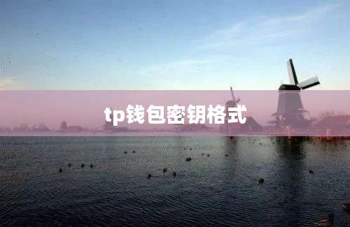 tp钱包密钥格式