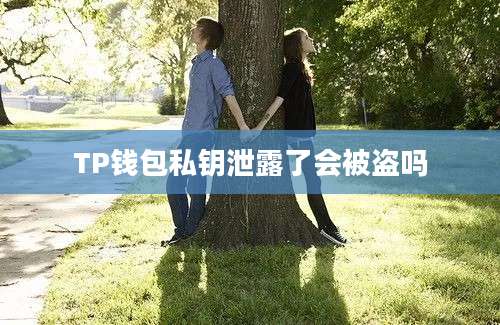 TP钱包私钥泄露了会被盗吗