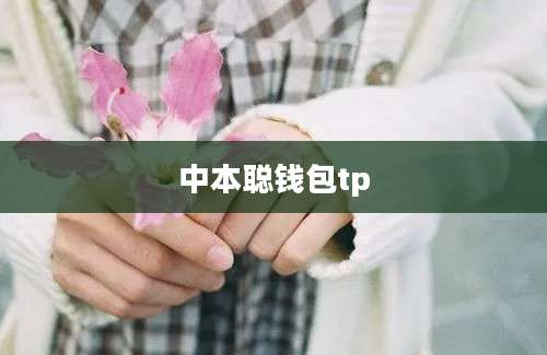 中本聪钱包tp