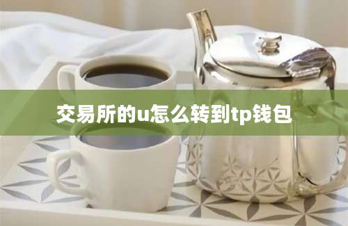 交易所的u怎么转到tp钱包