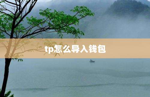 tp怎么导入钱包