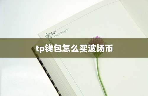 tp钱包怎么买波场币