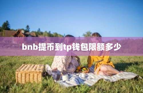 bnb提币到tp钱包限额多少