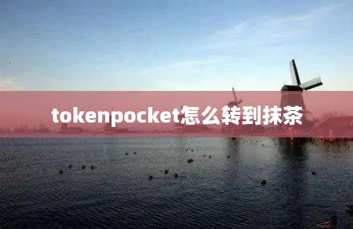 tokenpocket怎么转到抹茶